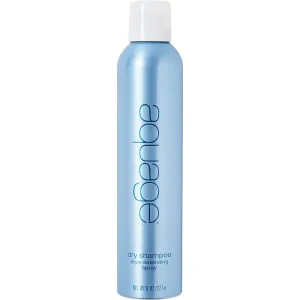 Aquage Dry Shampoo Spray