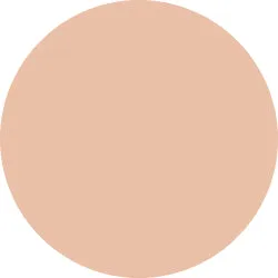 Decorte The Skin Powder Foundation Air Refill