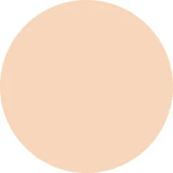 Decorte The Skin Powder Foundation Air Refill