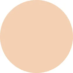 Decorte The Skin Powder Foundation Air Refill