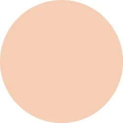 Decorte The Skin Powder Foundation Air Refill