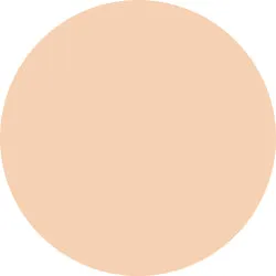 Decorte The Skin Powder Foundation Air Refill