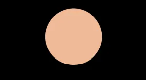 N7 COOL NEUTRAL FLAWLESS FINISH FOUNDATION