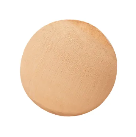 Napoleon Perdis Foundation Stick Broad Spectrum SPF 15