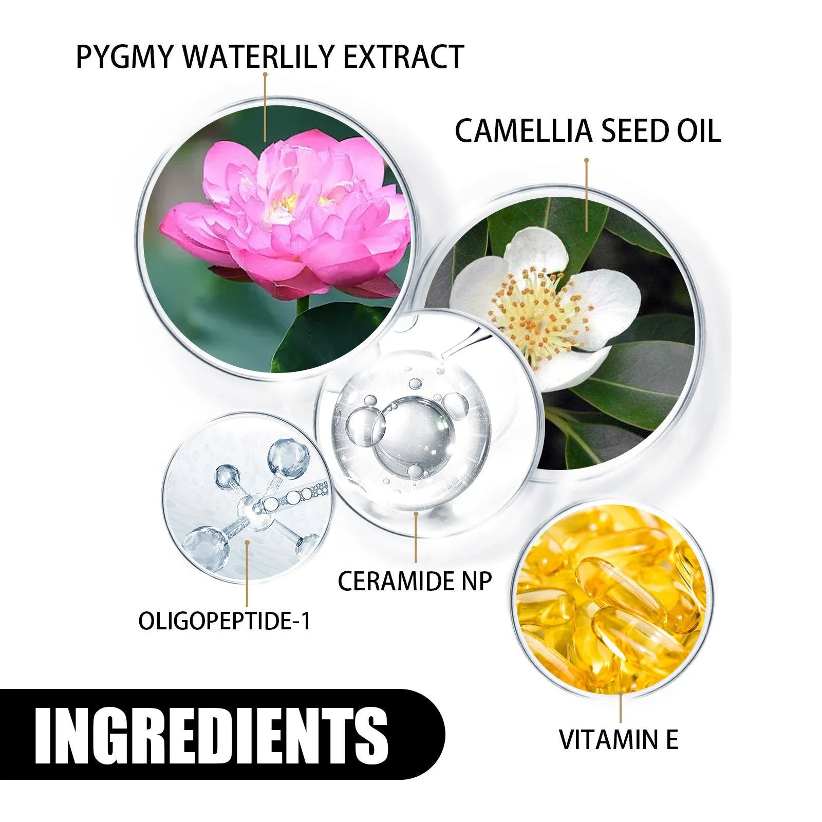 Nourishing Skin Brightening Cream