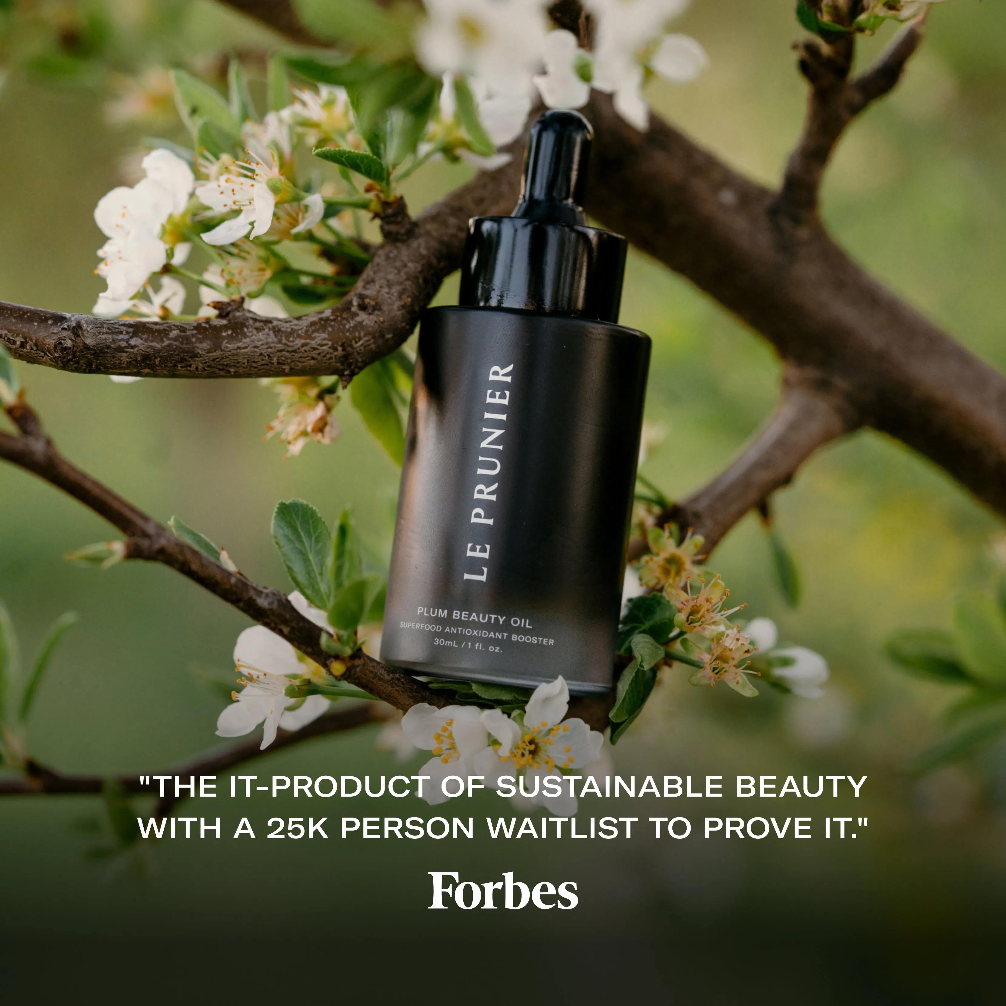 Plum Beauty Oil
