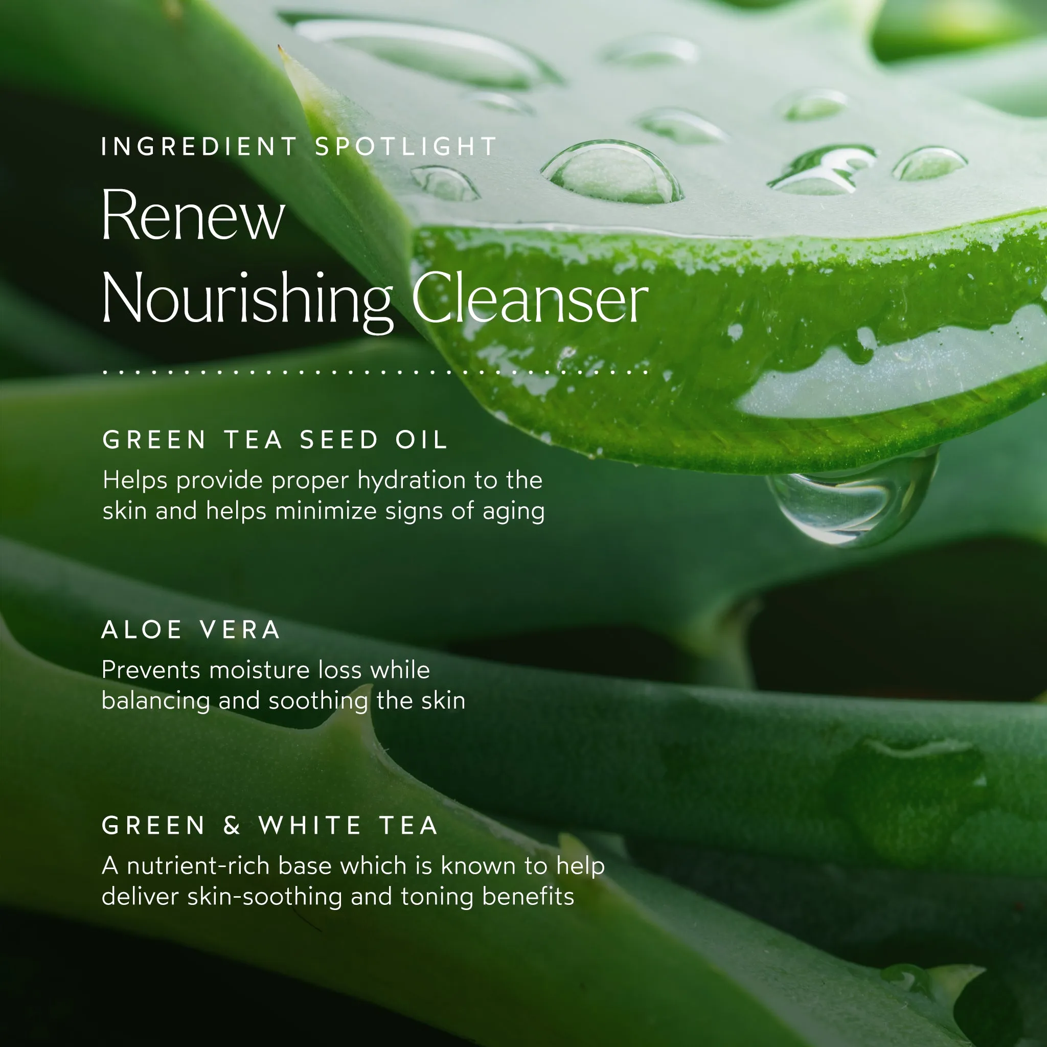 RENEW Nourishing Cleanser